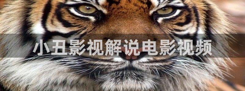 樱花视频在线www
