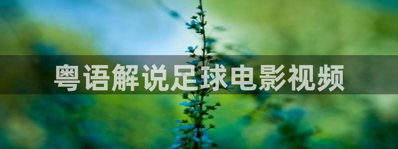 樱花视频高清免费看电视剧