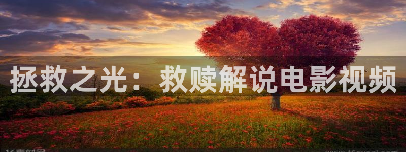 樱花视频免费观看电视